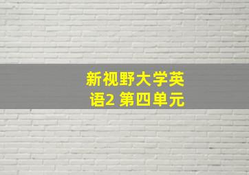 新视野大学英语2 第四单元